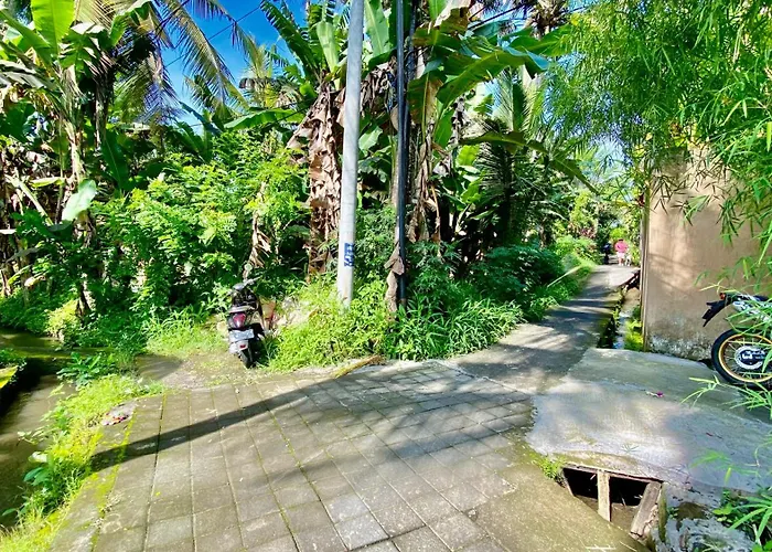 Magica Ubud (Bali)